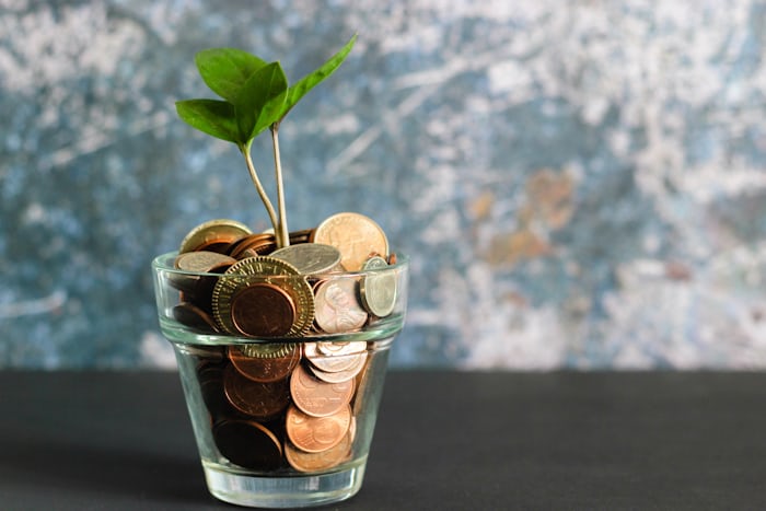 coins 