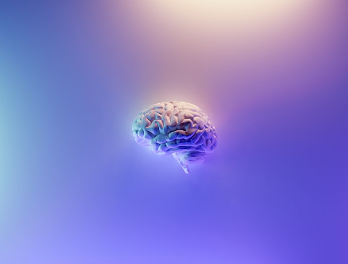 The brain is the most part of the human body