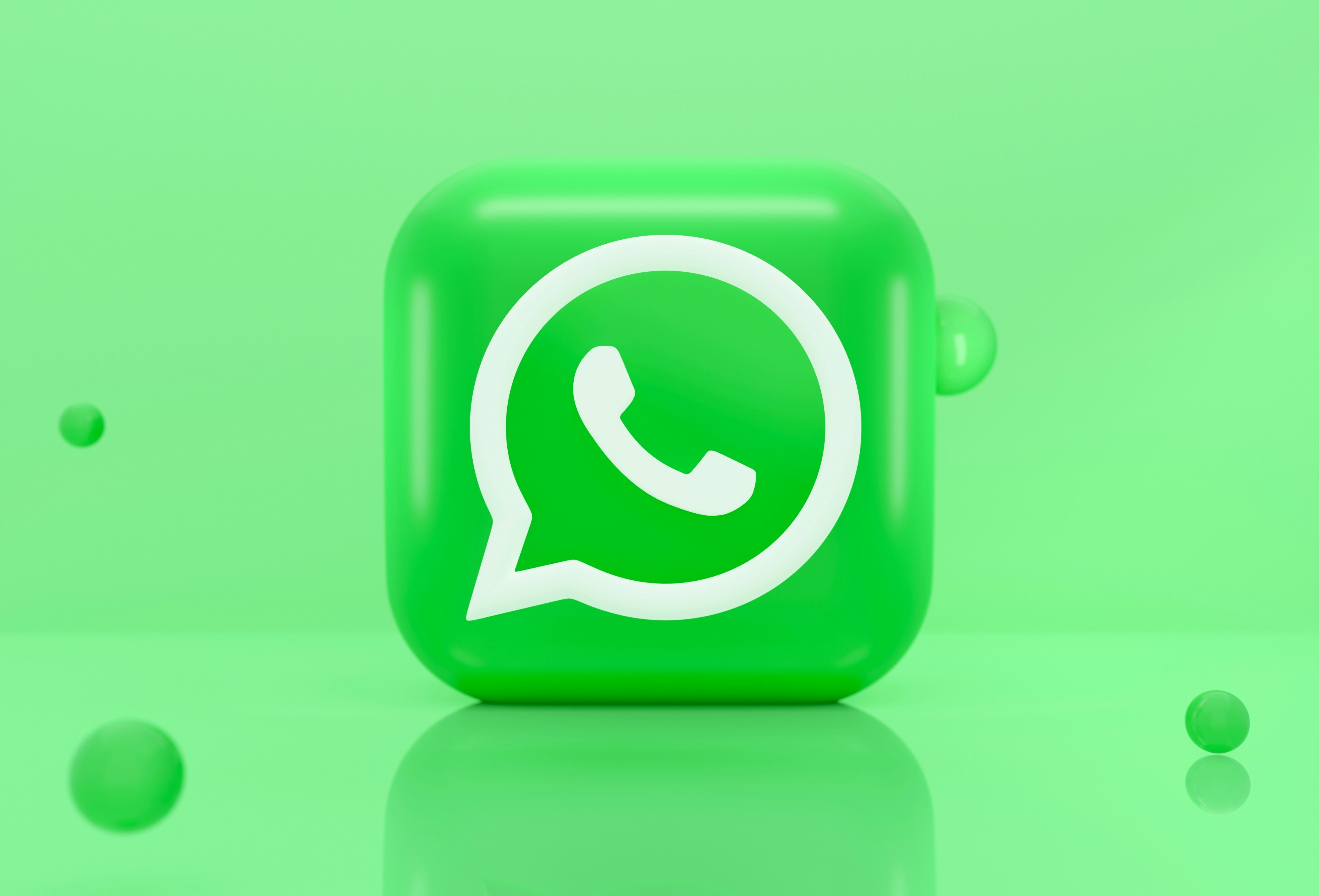 whatsapp support